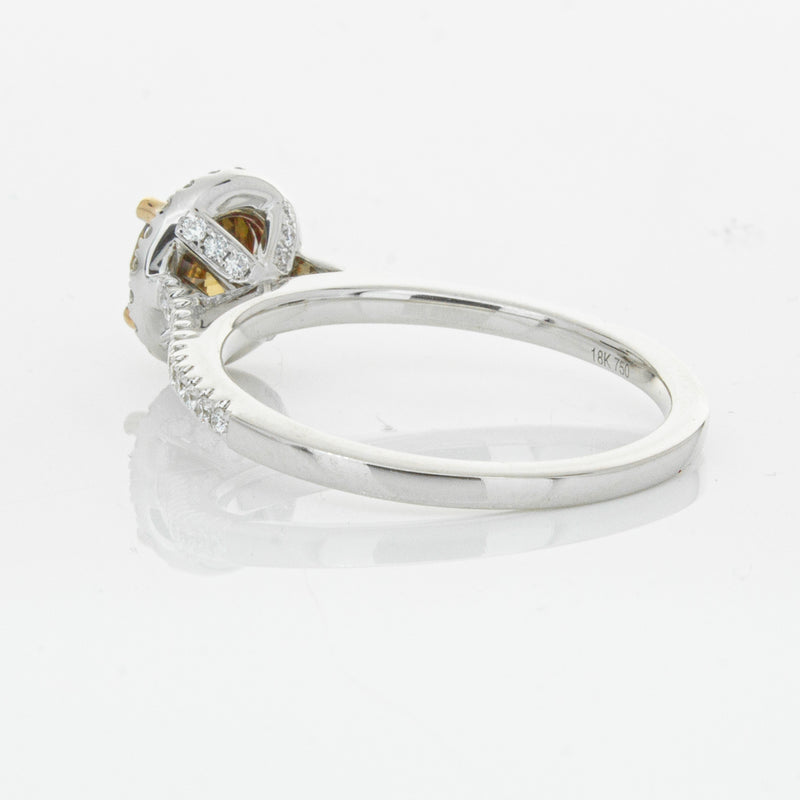 18ct White Gold Mocha Diamond Halo Ring-Ring-Walker & Hall