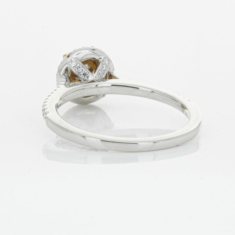 18ct White Gold Mocha Diamond Halo Ring-Ring-Walker & Hall