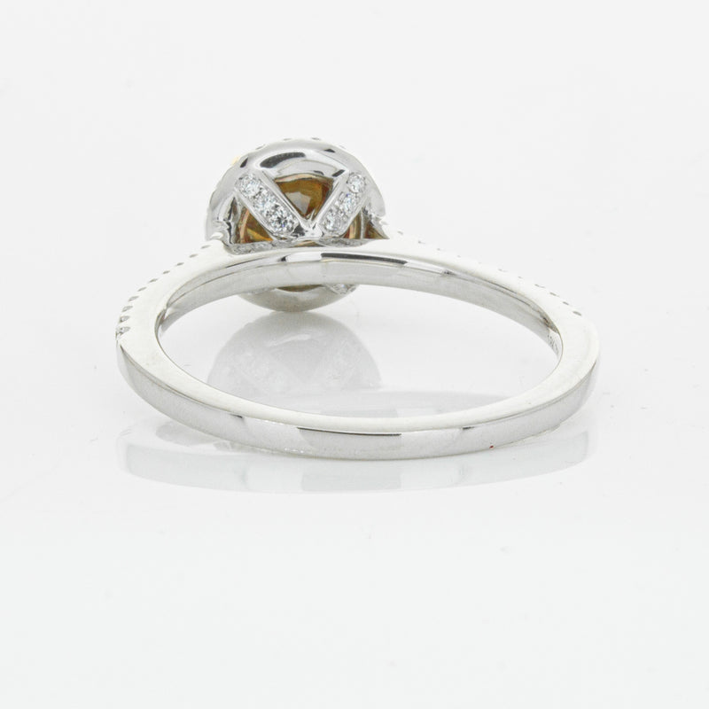 18ct White Gold Mocha Diamond Halo Ring-Ring-Walker & Hall