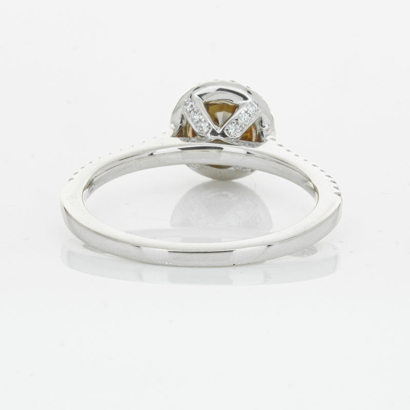 18ct White Gold Mocha Diamond Halo Ring-Ring-Walker & Hall