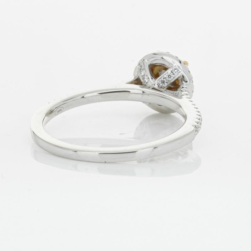 18ct White Gold Mocha Diamond Halo Ring-Ring-Walker & Hall