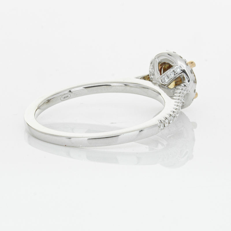 18ct White Gold Mocha Diamond Halo Ring-Ring-Walker & Hall