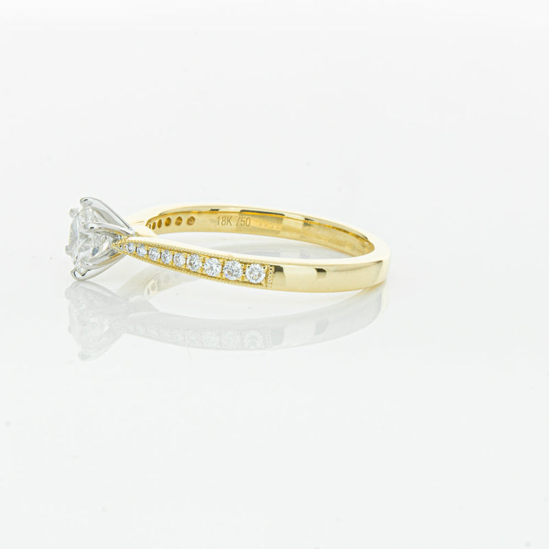 18ct Yellow Gold .50ct Diamond Zenith Ring-Ring-Walker & Hall