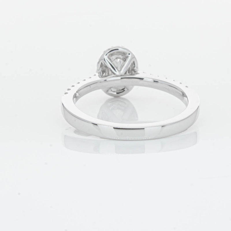 18ct White Gold .50ct Oval Cut Diamond Lola Ring-Ring-Walker & Hall