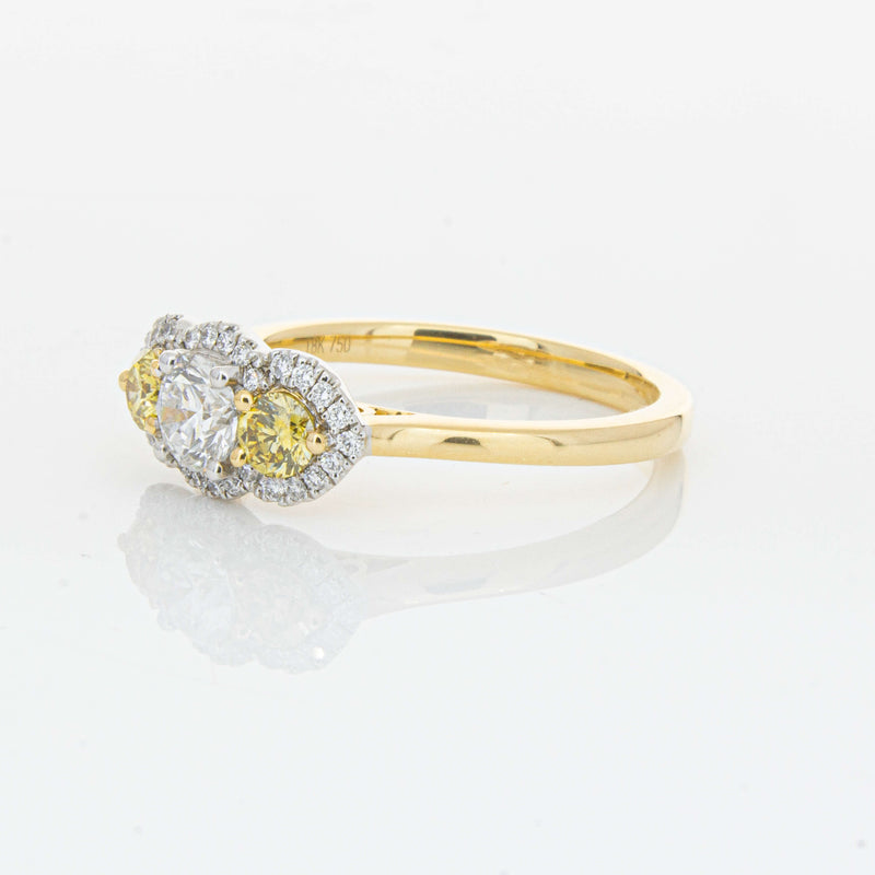 18ct Yellow Gold .84ct Yellow & White Diamond Posie Ring-Ring-Walker & Hall