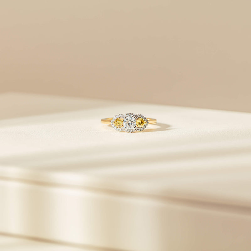 18ct Yellow Gold .84ct Yellow & White Diamond Posie Ring-Ring-Walker & Hall