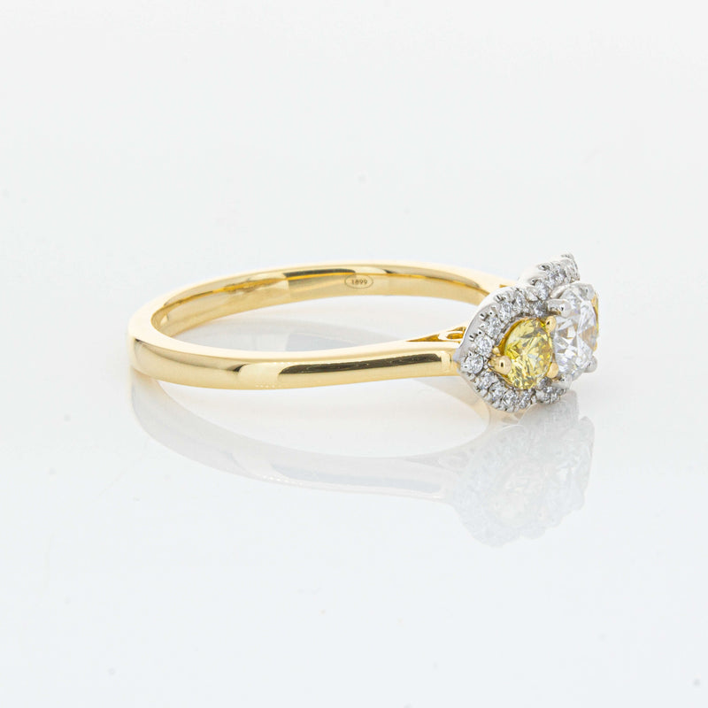 18ct Yellow Gold .84ct Yellow & White Diamond Posie Ring-Ring-Walker & Hall