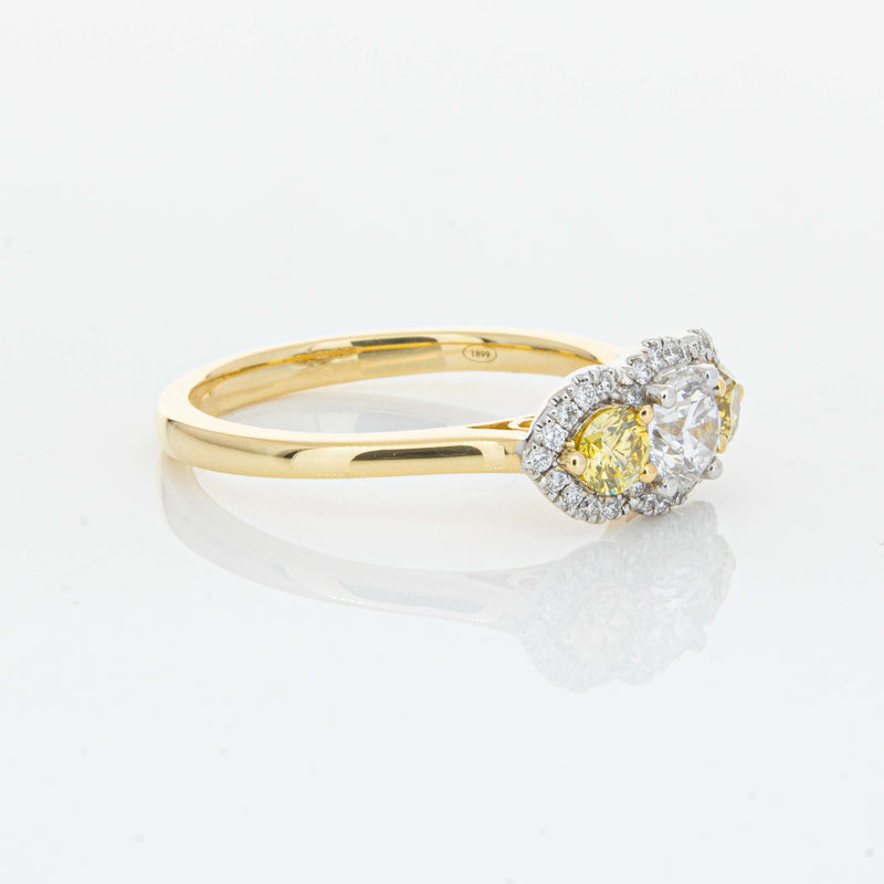 18ct Yellow Gold .84ct Yellow & White Diamond Posie Ring-Ring-Walker & Hall