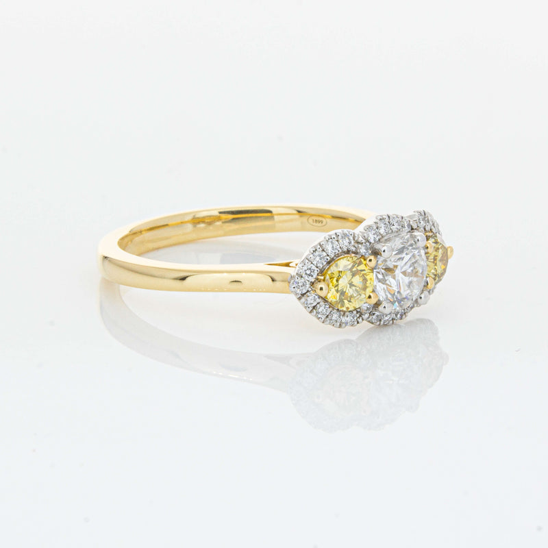 18ct Yellow Gold .84ct Yellow & White Diamond Posie Ring-Ring-Walker & Hall