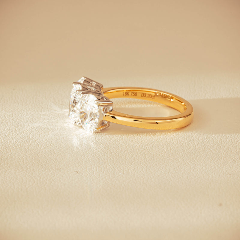 18ct Yellow & White Gold 3.20ct Oval-Diamond Odyssey Ring - Ring - Walker & Hall