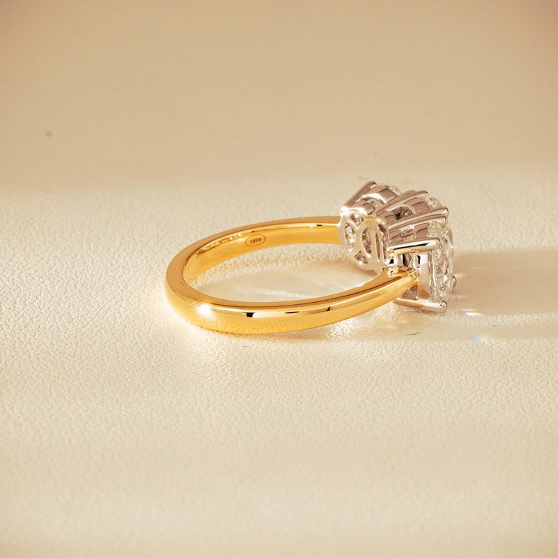 18ct Yellow & White Gold 3.20ct Oval-Diamond Odyssey Ring - Ring - Walker & Hall