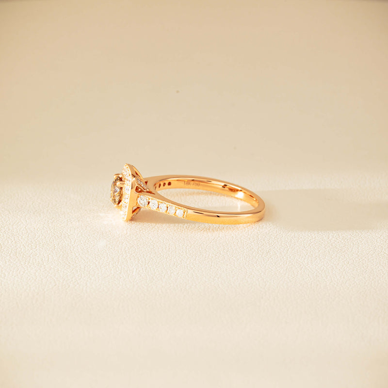 18ct Rose Gold .51ct Champagne Diamond Aurora Ring - Ring - Walker & Hall