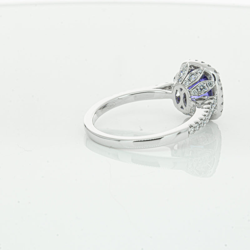 18ct White Gold Sapphire & Diamond Sierra Ring-Ring-Walker & Hall