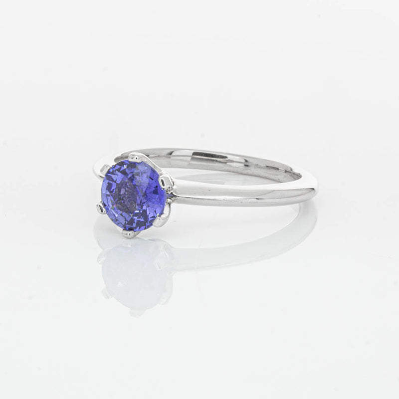 18ct White Gold Sapphire Cosmopolitan Ring-Ring-Walker & Hall