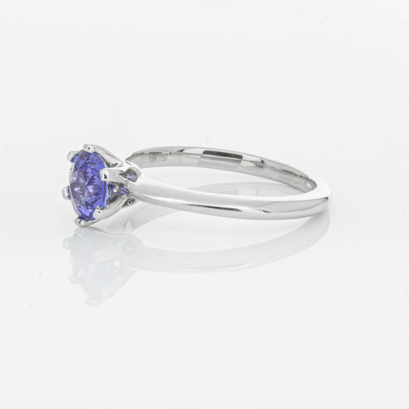 18ct White Gold Sapphire Cosmopolitan Ring-Ring-Walker & Hall