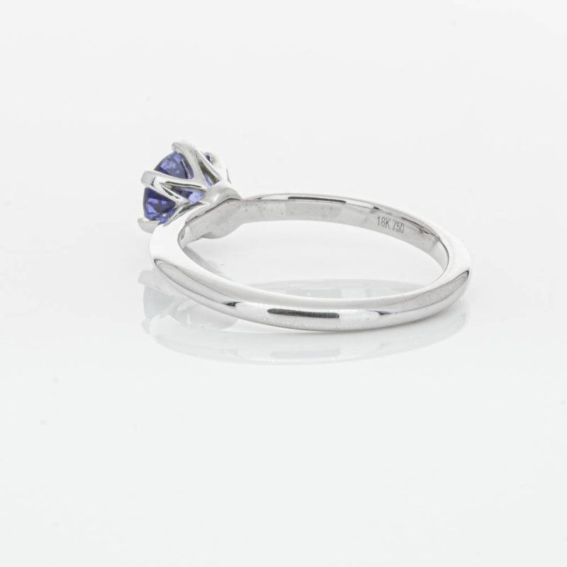18ct White Gold Sapphire Cosmopolitan Ring-Ring-Walker & Hall