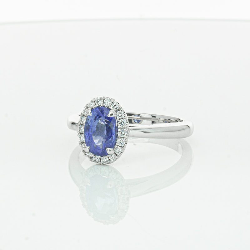 18ct White Gold Sapphire & Diamond Nina Ring-Ring-Walker & Hall
