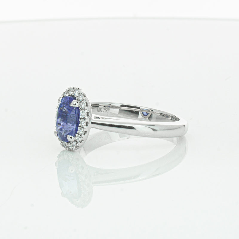 18ct White Gold Sapphire & Diamond Nina Ring-Ring-Walker & Hall