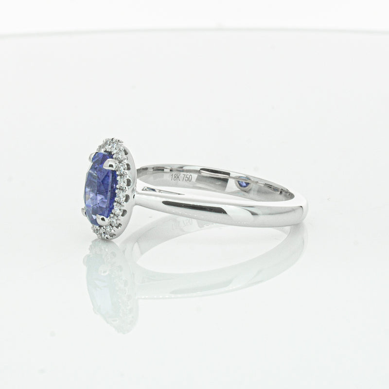 18ct White Gold Sapphire & Diamond Nina Ring-Ring-Walker & Hall