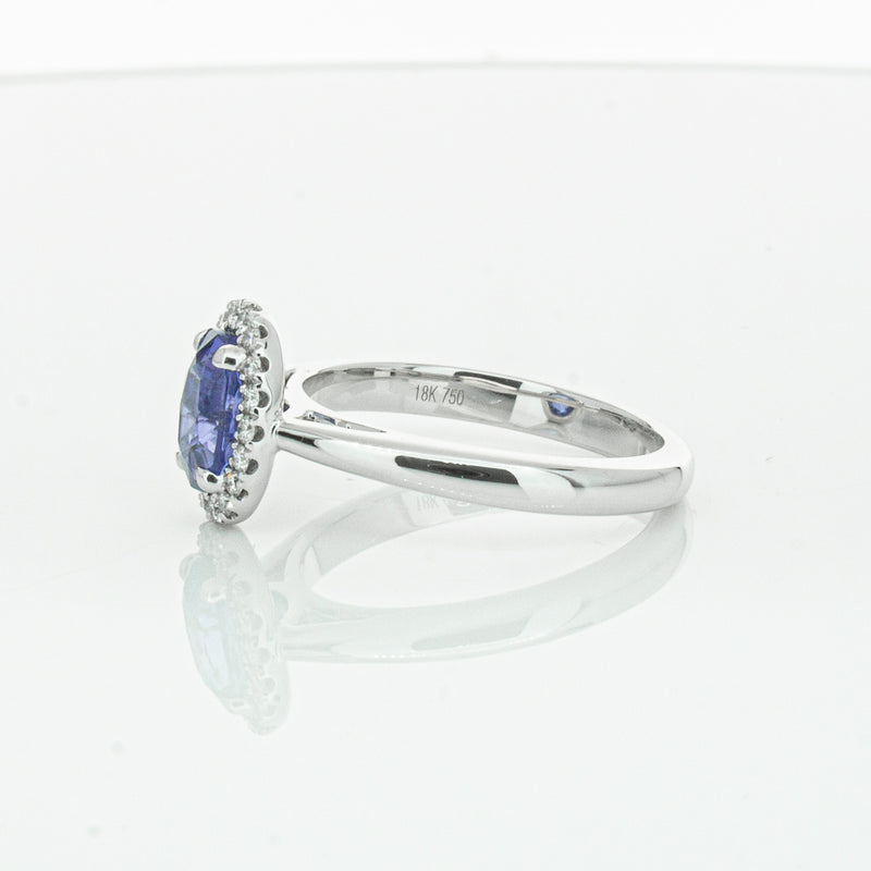 18ct White Gold Sapphire & Diamond Nina Ring-Ring-Walker & Hall