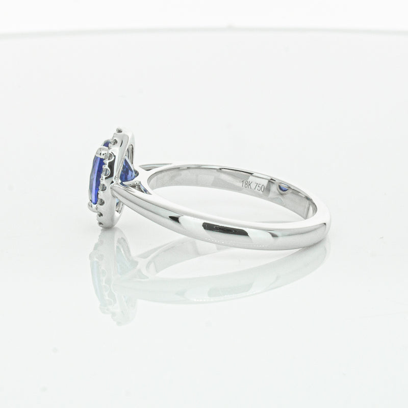 18ct White Gold Sapphire & Diamond Nina Ring-Ring-Walker & Hall