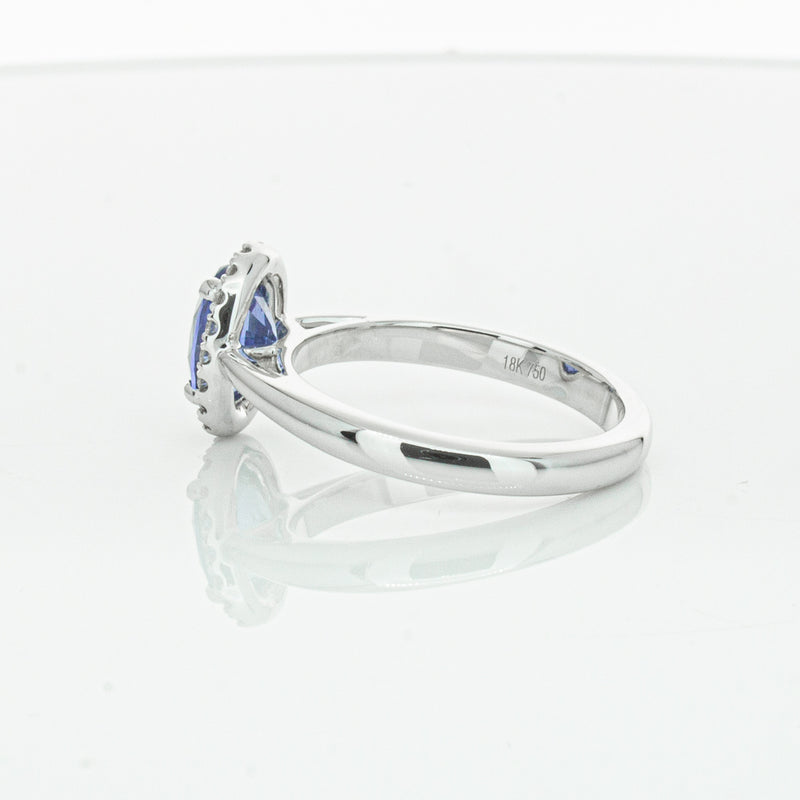 18ct White Gold Sapphire & Diamond Nina Ring-Ring-Walker & Hall