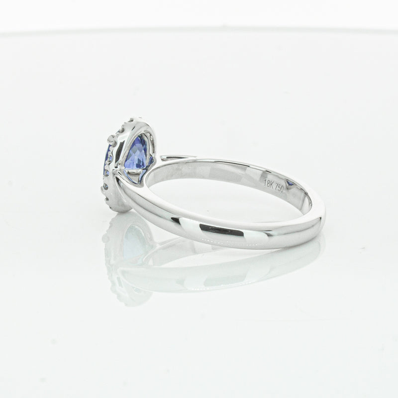 18ct White Gold Sapphire & Diamond Nina Ring-Ring-Walker & Hall