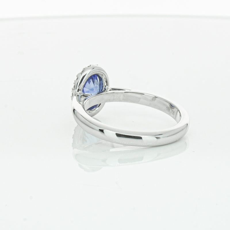 18ct White Gold Sapphire & Diamond Nina Ring-Ring-Walker & Hall