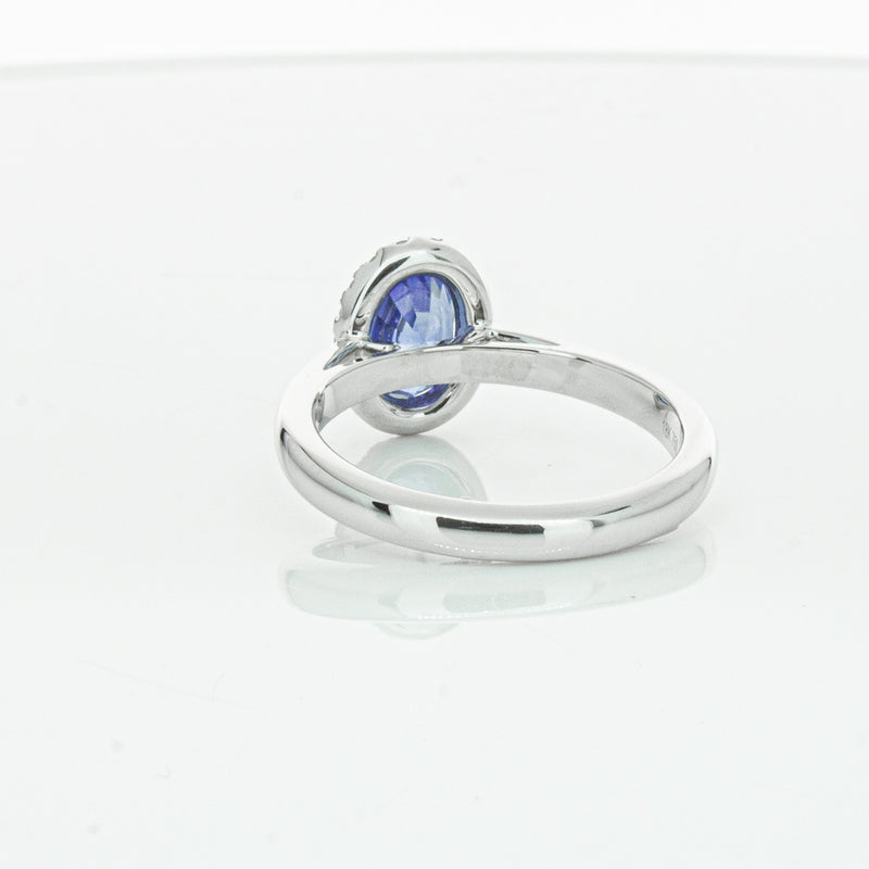 18ct White Gold Sapphire & Diamond Nina Ring-Ring-Walker & Hall