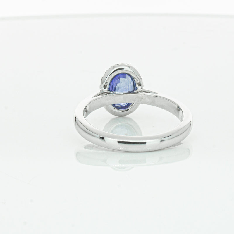 18ct White Gold Sapphire & Diamond Nina Ring-Ring-Walker & Hall
