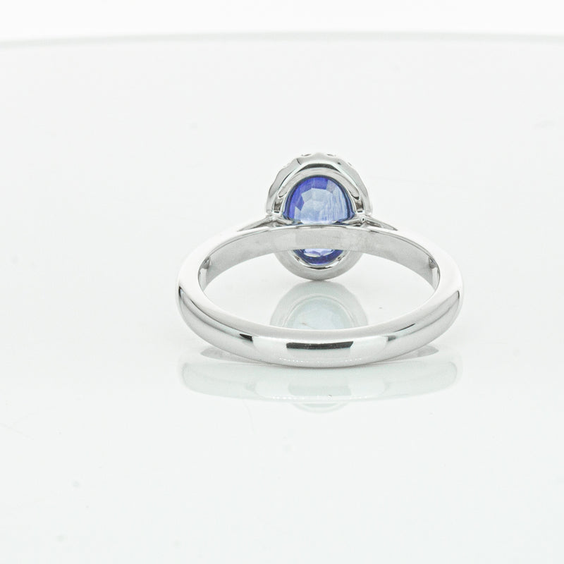 18ct White Gold Sapphire & Diamond Nina Ring-Ring-Walker & Hall