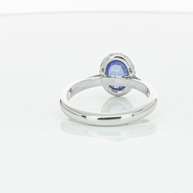 18ct White Gold Sapphire & Diamond Nina Ring-Ring-Walker & Hall