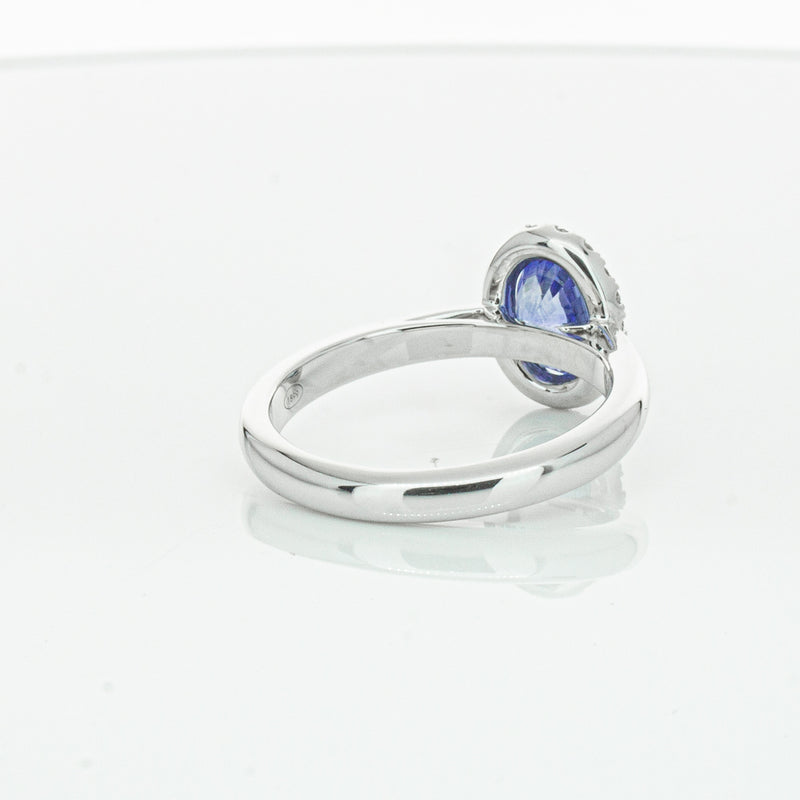 18ct White Gold Sapphire & Diamond Nina Ring-Ring-Walker & Hall