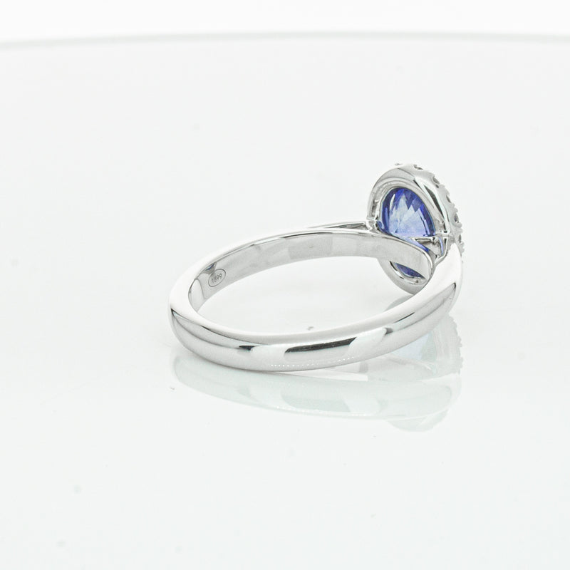 18ct White Gold Sapphire & Diamond Nina Ring-Ring-Walker & Hall