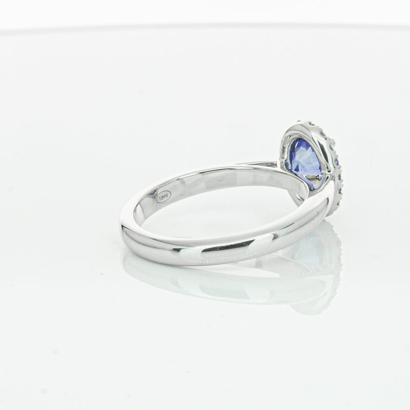 18ct White Gold Sapphire & Diamond Nina Ring-Ring-Walker & Hall