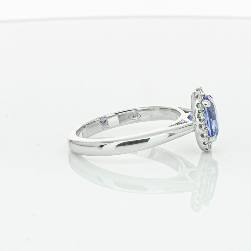 18ct White Gold Sapphire & Diamond Nina Ring-Ring-Walker & Hall
