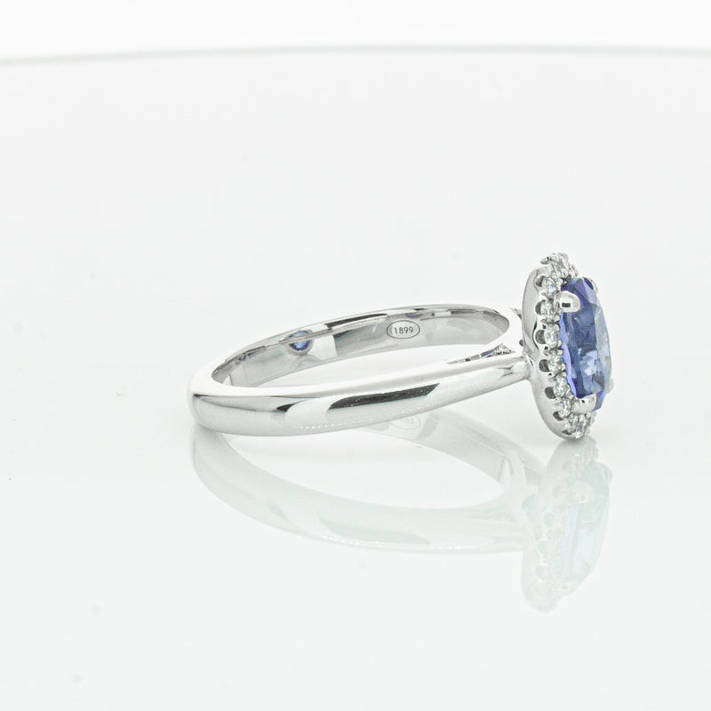 18ct White Gold Sapphire & Diamond Nina Ring-Ring-Walker & Hall
