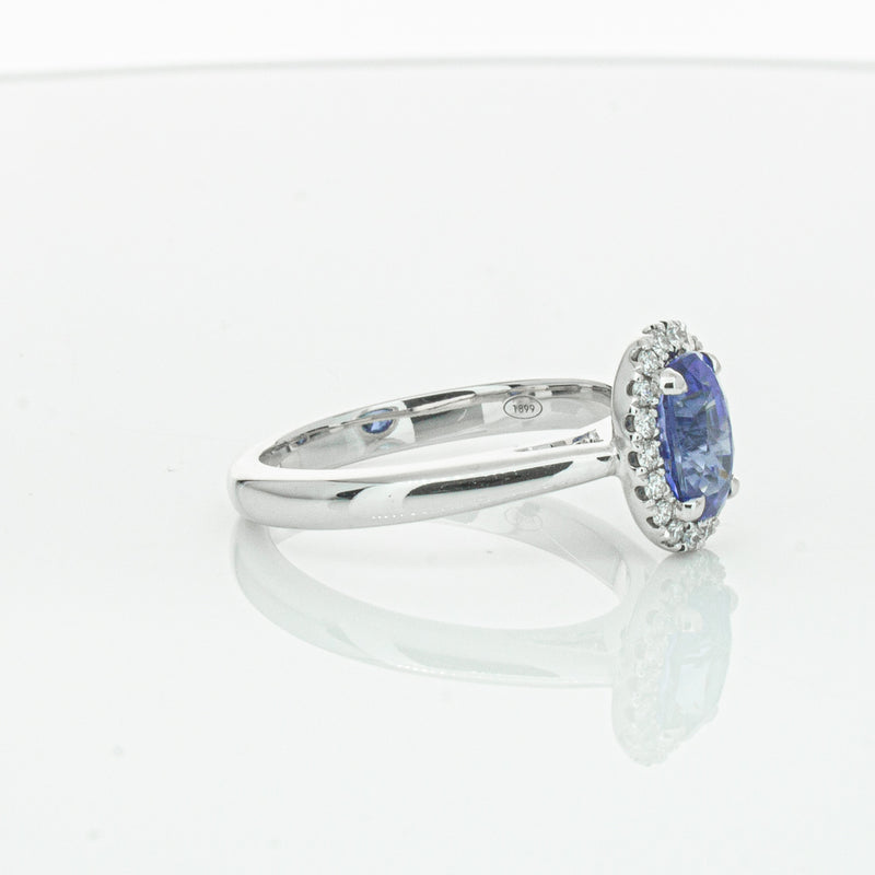 18ct White Gold Sapphire & Diamond Nina Ring-Ring-Walker & Hall