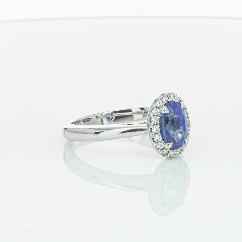 18ct White Gold Sapphire & Diamond Nina Ring-Ring-Walker & Hall