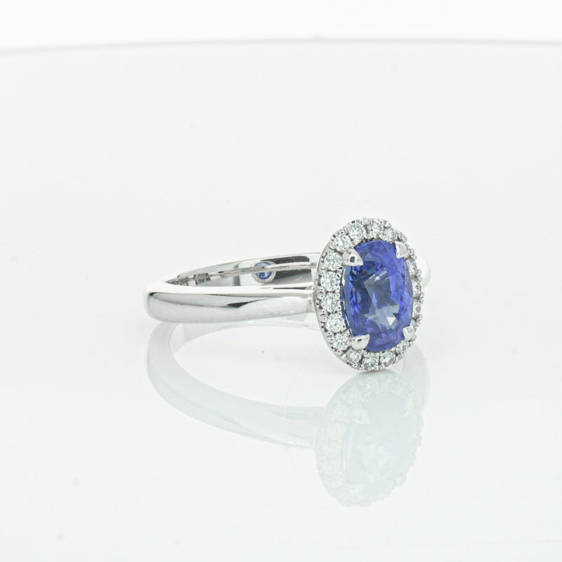 18ct White Gold Sapphire & Diamond Nina Ring-Ring-Walker & Hall