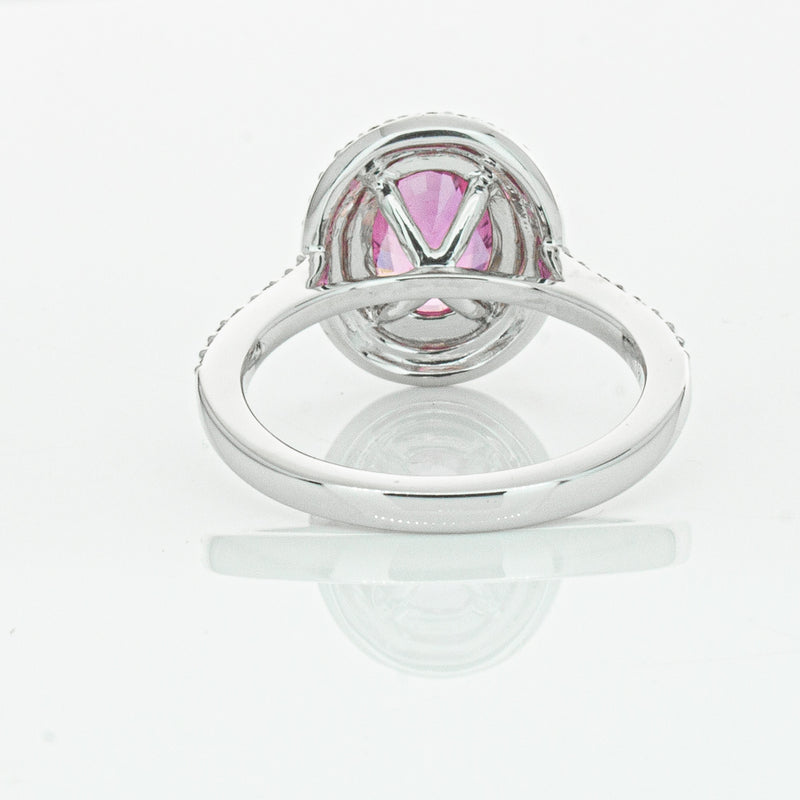 18ct White Gold Pink Sapphire & Diamond Rosa Ring-Ring-Walker & Hall