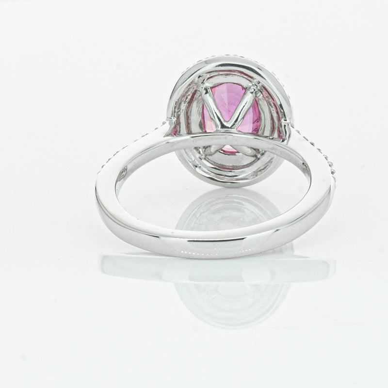 18ct White Gold Pink Sapphire & Diamond Rosa Ring-Ring-Walker & Hall