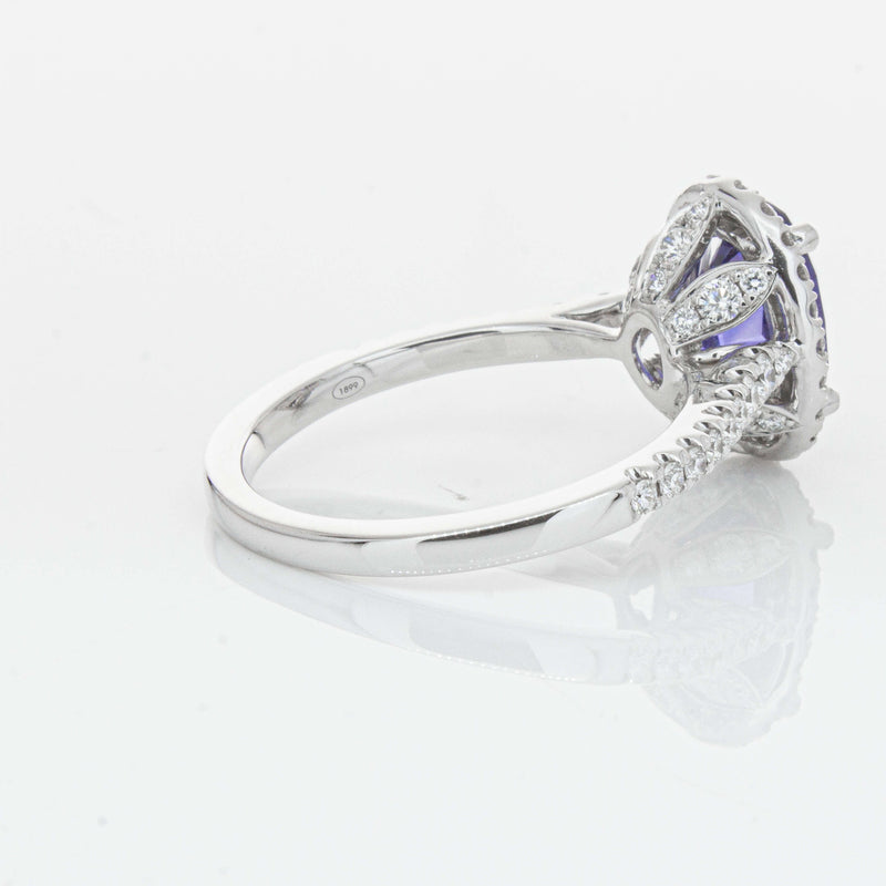 18ct White Gold 2.75ct Sapphire & Diamond Sierra Ring-Ring-Walker & Hall