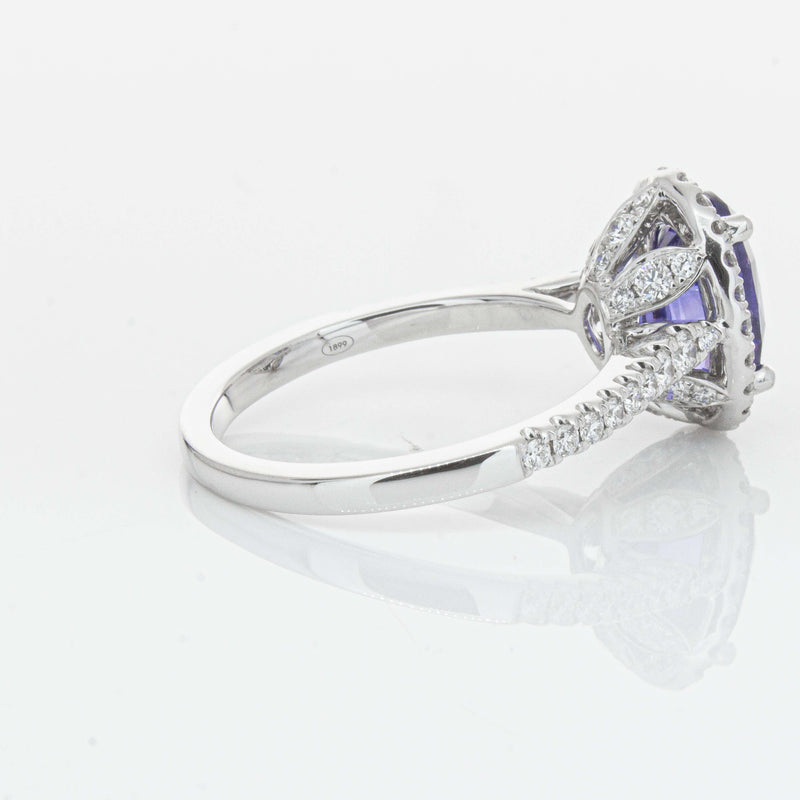 18ct White Gold 2.75ct Sapphire & Diamond Sierra Ring-Ring-Walker & Hall