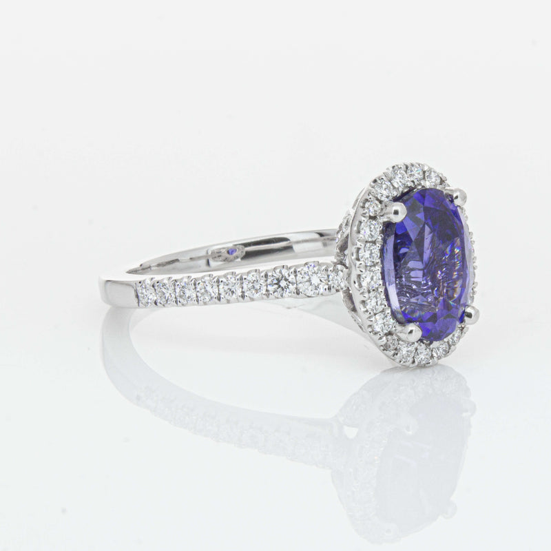18ct White Gold 2.75ct Sapphire & Diamond Sierra Ring-Ring-Walker & Hall