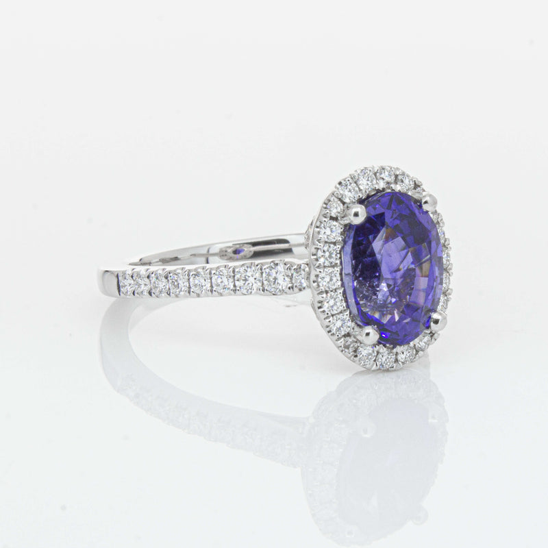 18ct White Gold 2.75ct Sapphire & Diamond Sierra Ring-Ring-Walker & Hall