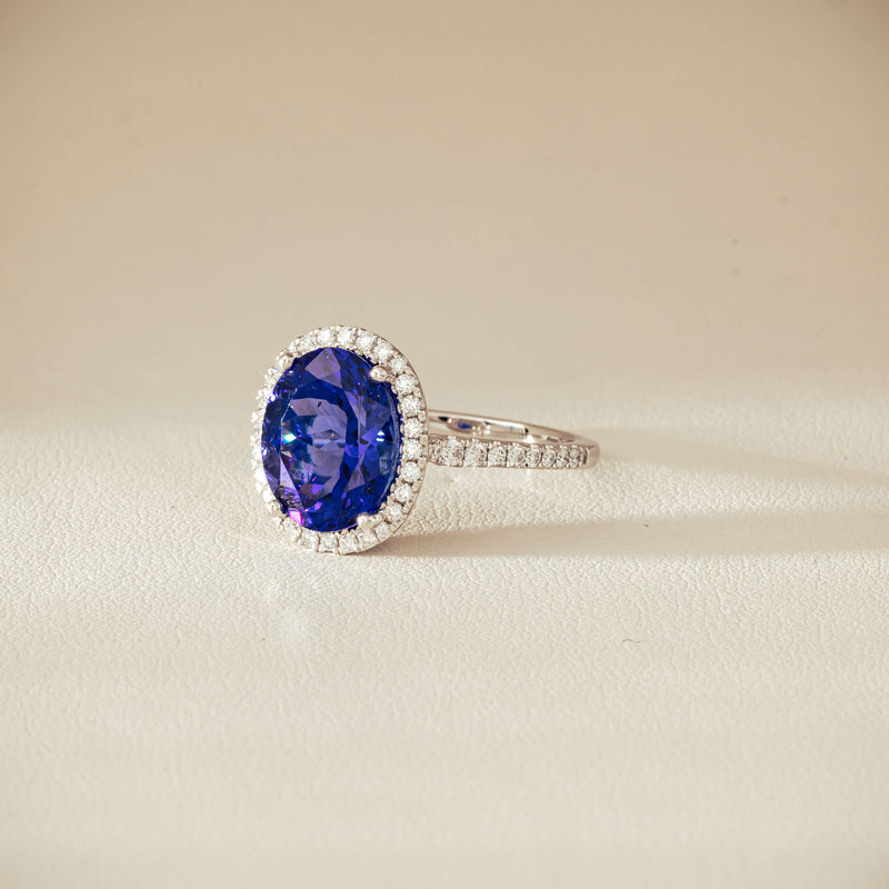 18ct White Gold 5.29ct Tanzanite & Diamond Sierra Ring - Ring - Walker & Hall