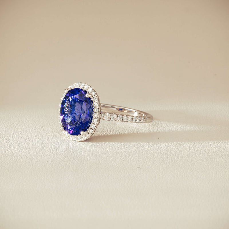 18ct White Gold 5.29ct Tanzanite & Diamond Sierra Ring - Ring - Walker & Hall