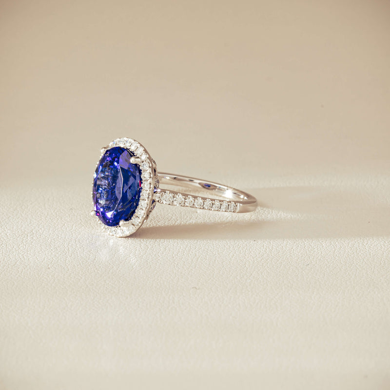 18ct White Gold 5.29ct Tanzanite & Diamond Sierra Ring - Ring - Walker & Hall