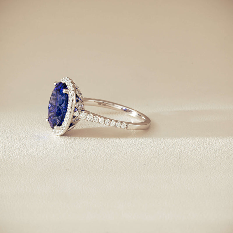 18ct White Gold 5.29ct Tanzanite & Diamond Sierra Ring - Ring - Walker & Hall